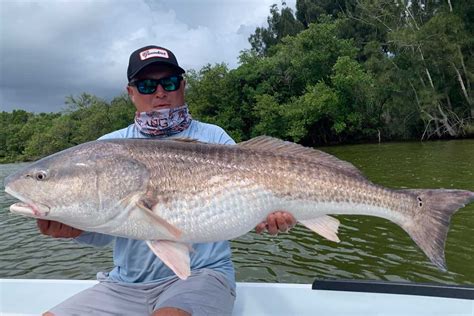 Bull Season is Here! – Central Florida Inshore Fishing Report