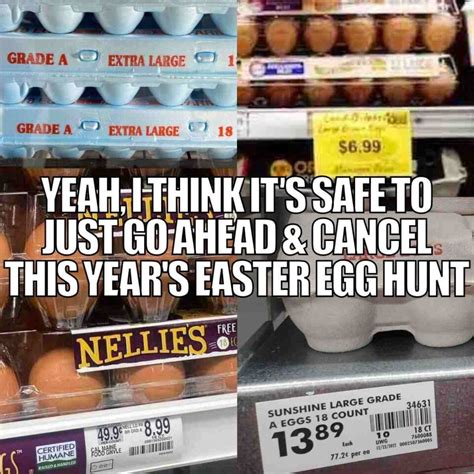 Collection of The Funniest Egg Prices Memes - Funtastic Life