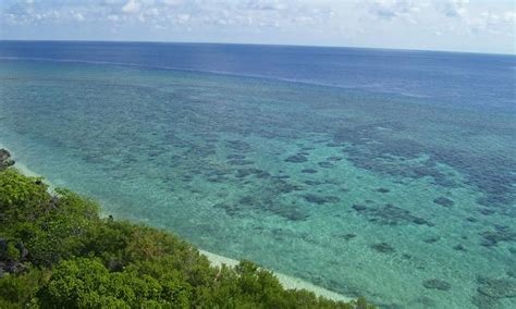 Apo Reef Natural Park - the largest coral reef system in the Philippines - Fun In The Philippines