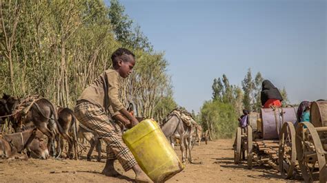 Ethiopia drought: An immediate threat | International Rescue Committee ...