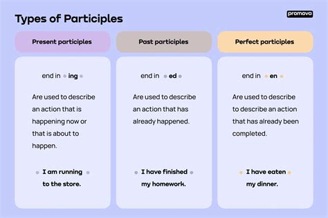 Participle | Promova Grammar