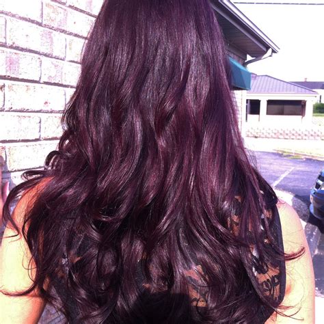 Long violet brown hair Pravana | Violet hair colors, Violet hair, Dark ...