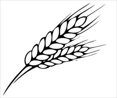 Outline Wheat Clipart Black And White - Rwanda 24