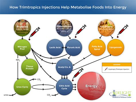 Incredible Benefits of Lipotropic Injections for Enhanced Wellness