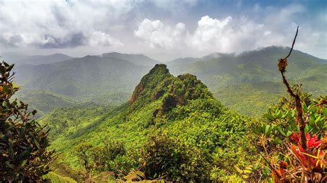 El Yunque: un bosque tropical en Puerto Rico