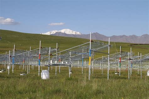 Warming climate threatens life on the Tibetan Plateau grasslands • Earth.com