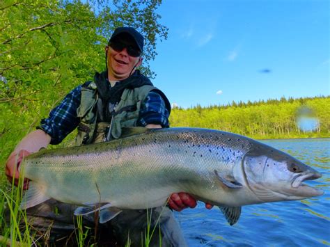 River Kola in 2019-Salmon fishing in Russia — Lax-A Angling club