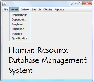 Human Resource Database Management System Database Design - 1000 Projects