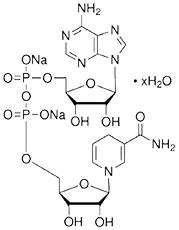 NADH | FabriChem