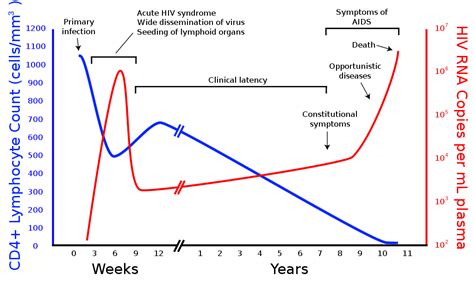 What Are HIV and AIDS? - Stages of AIDS - Gentaur - PCR kit, ELISA kit ...