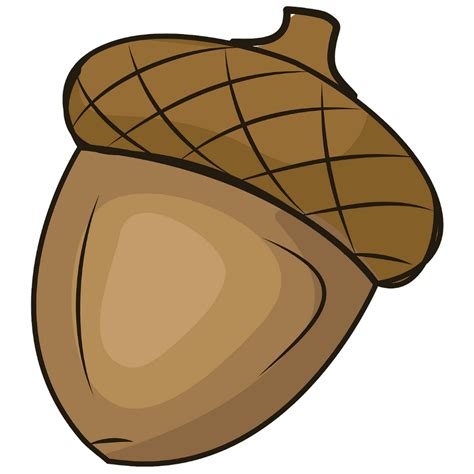 Download High Quality acorn clipart woodland Transparent PNG Images ...