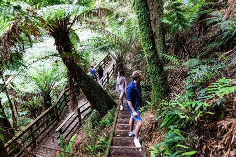 11 national parks in Victoria to visit at least once in your life | National parks, Melbourne ...