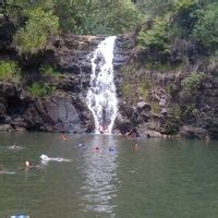 Waimea Valley Waterfall - 20 tips from 1546 visitors