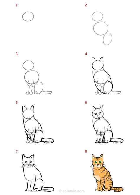 Easy Cat Drawing Ideas » How to draw a Cat Step by Step