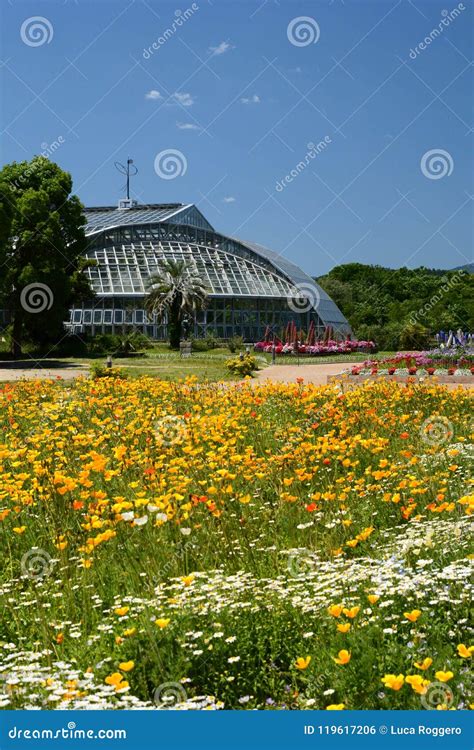 Kyoto Botanical Garden. Japan Stock Photo - Image of garden, natural ...