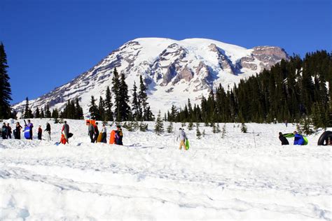 Sledding & Tubing at Snow Play Area Mt. Rainier | Visit Rainier