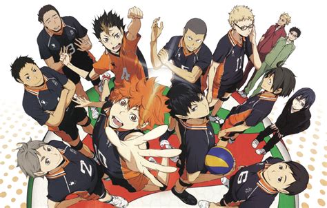 Haikyuu Karasuno Wallpaper