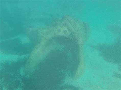 Diving trail off Omeo Wreck, Fremantle Western Australia - You can swim ...