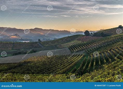 Langhe stock image. Image of wine, hills, barolo, vineyard - 46447287