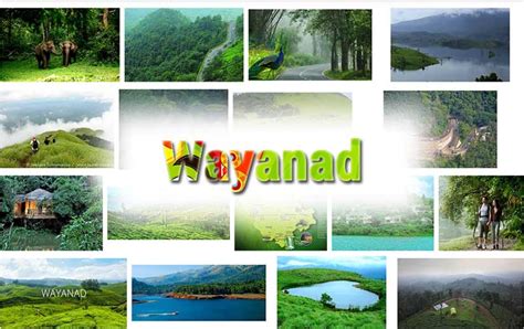 Wayanad: a popular trekking destination in Kerala