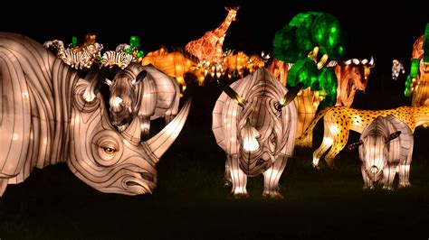 Bronx Zoo Holiday Light Show | Things to do in New York Kids