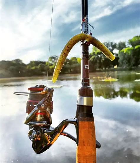 [EXPOSED] Tournament Winning Anglers Use The Wacky Rig Senko To Out ...