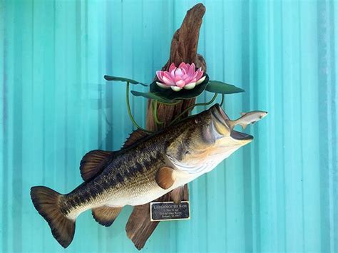 Largemouth Bass Mounts - Replica Mounts from New Wave Taxidermy