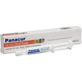 Panacur Paste for Dogs & Cats 5g