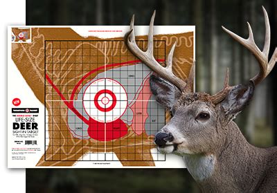 Paper Hunting Targets For Pistol, Rifle & Shotgun