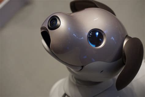 Sony's New Aibo Robot Dog Is Nearly $3,000, But It Can Tell How You're Feeling