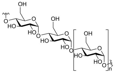 Saccharide Definition and Examples - Biology Online Dictionary