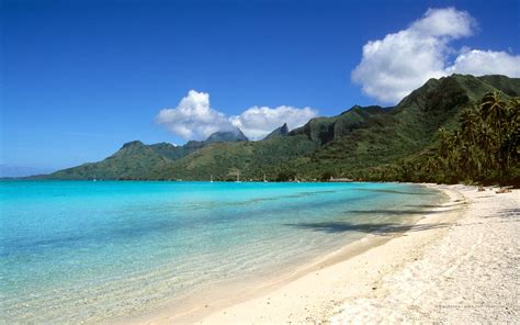 Tahiti Beach Desktop Wallpapers - Top Free Tahiti Beach Desktop Backgrounds - WallpaperAccess