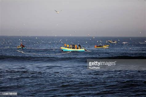 1,130 Fishing In The Sea Of Gaza City Stock Photos, High-Res Pictures ...