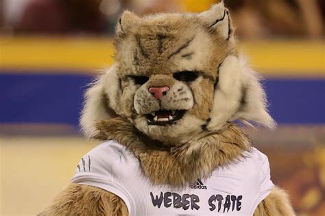 VIDEO: Weber State national champion mascot Waldo departs Oregon State ...