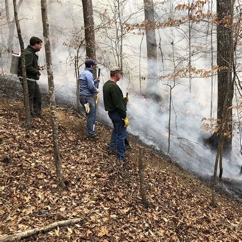 Prescribed Fire Feature | National Deer Association