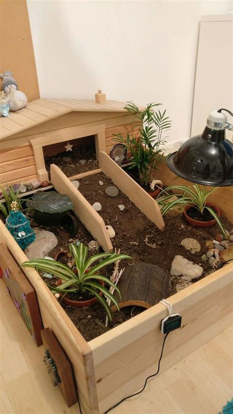 Pin by Rebekkah AhavaZare on Tortoise Care | Tortoise enclosure, Tortoise habitat, Turtle habitat