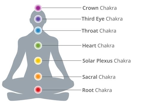 Location of chakras - Hinduism Stack Exchange