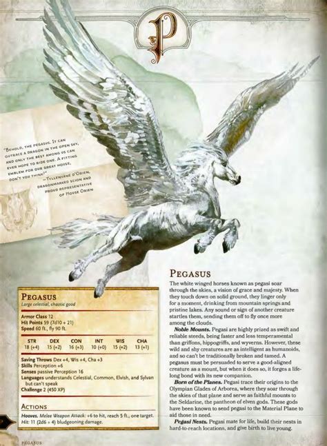 Pegasus 5e | Dungeons and dragons homebrew, Dnd dragons, Dungeons and dragons game