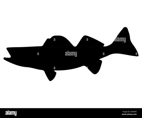 Walleye fish silhouette vector art Stock Vector Image & Art - Alamy