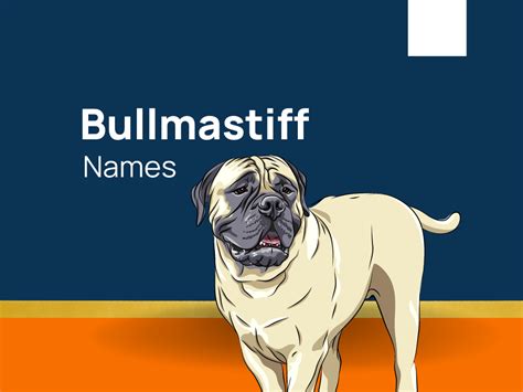 1300+ Bullmastiff Names That Exude Strength and Grace! (+Generator)