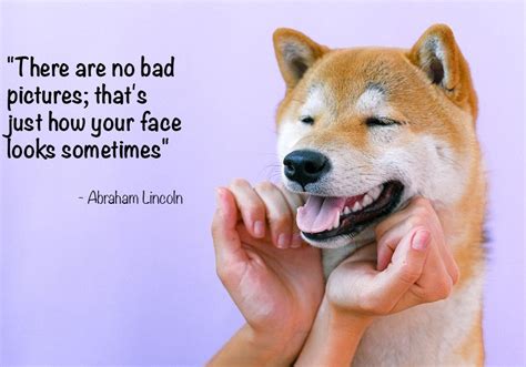 58 Funny Photography Quotes to Brighten Your Day