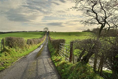 A country walk along Fountain Lane © Kenneth Allen :: Geograph Ireland