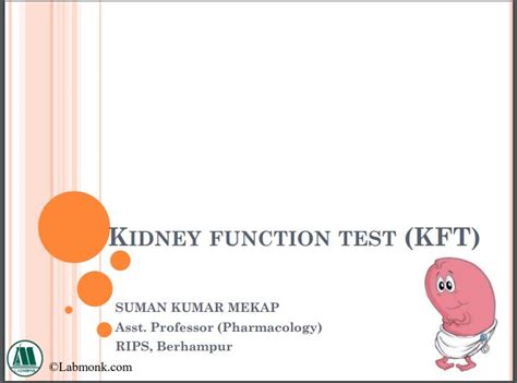 Kidney function test - Labmonk