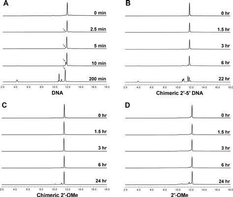 Figure 4 from Stability and mechanism of threose nucleic acid toward ...