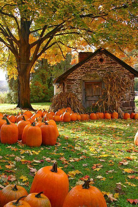 Pumpkins in the Country | Herfst foto's, Herfst landschap, Herfst fotografie