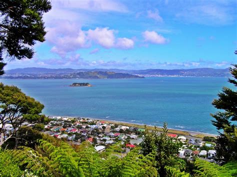 Wellington harbour view in New Zealand - WanderingKiwi