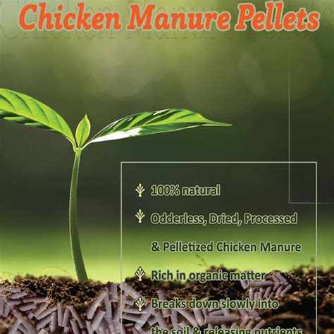 Chicken Manure Pellets – Arabian Organics