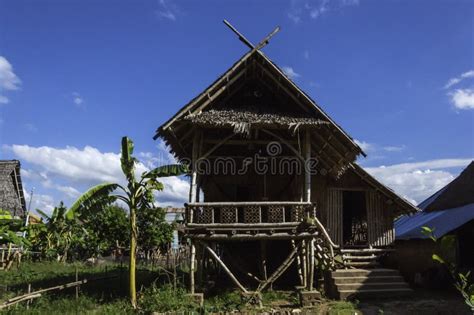 Wooden House in Traditional Pile Construction Stock Photo - Image of farmhouse, leaves: 214329912