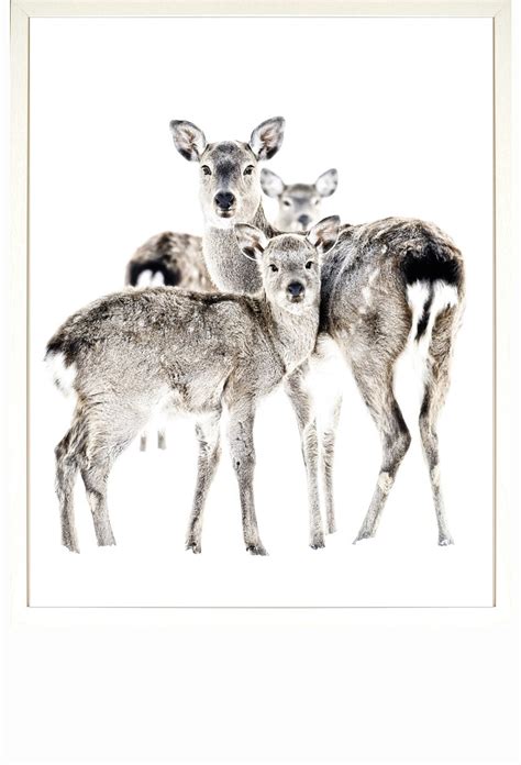 Deer Family Drawing at PaintingValley.com | Explore collection of Deer Family Drawing