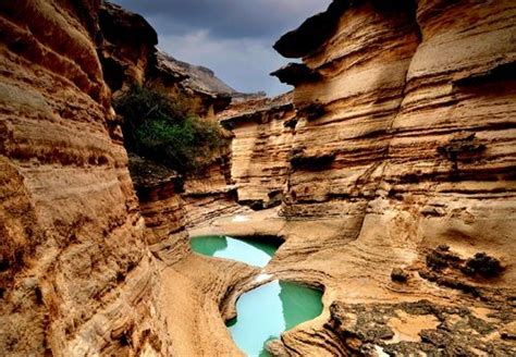 Qeshm Geopark Advisor Is Selected As UNESCO Geoparks Council